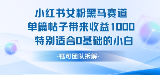 小红书女粉黑马赛道单篇帖子带来收益1k+，特别适合0基础的小白-最全资源库