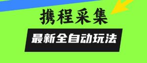 携程信息采集全自动玩法，0风控，无脑开干【揭秘】-最全资源库
