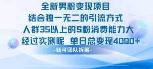 全新男粉变现项目引流人群35以上的男粉消费能力大 经过实测单日变现1k+-最全资源库