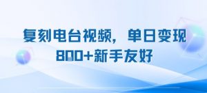 复刻电台视频,单日变现8张+新手友好,长期可做-最全资源库