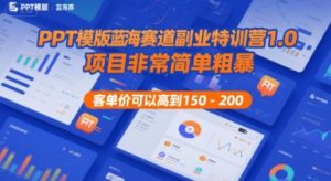 PPT模版蓝海赛道副业特训营1.0，项目非常简单粗暴，客单价可以高到150-200-最全资源库