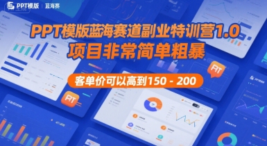 PPT模版蓝海赛道副业特训营1.0,项目非常简单粗暴,客单价可以高到150-200-最全资源库