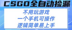CSGO自动捡漏项目，最新独家玩法，不用挂G不用玩游戏，一个手机即可操作，新手小白轻松月入1W+【揭秘】-最全资源库