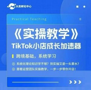 大卖家孵化中心TikTok实操课,TikTok小店成长加速器,跨境基础系统学习,一步一步带你开店-最全资源库