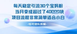 每天稳定引流30个人 当月变成超过了4个W项目流程非常简单适合小白-最全资源库
