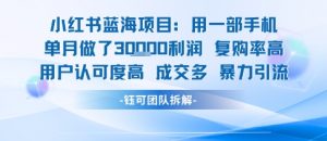 小红书蓝海项目，一部手机单月做了3W利润，小白也能月入过1W用户认可度高成交多-最全资源库