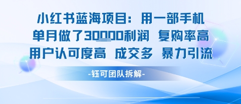 小红书蓝海项目，一部手机单月做了3W利润，小白也能月入过1W用户认可度高成交多-最全资源库