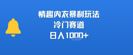 情趣内衣暴利玩法,冷门赛道,日入1k+-最全资源库