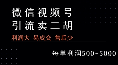 视频号卖二胡教程，利润大 易成交 售后少，一单利润5张+-最全资源库