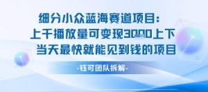 小众蓝海赛道项目：当天变现1k+适合新手操作 +适合长期玩-最全资源库