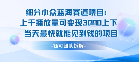 小众蓝海赛道项目：当天变现1k+适合新手操作 +适合长期玩-最全资源库