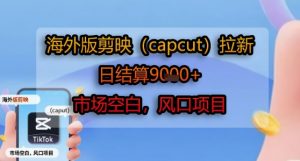 海外版剪映(capcut)拉新，日结算1k+，市场空白，风口项目-最全资源库