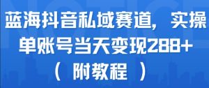 蓝海抖音私域赛道,实操单账号当天变现288+(附教程)-最全资源库