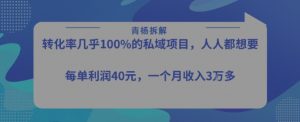 转化率最高的私域项目，每单利润40-50米，月入过1w-最全资源库
