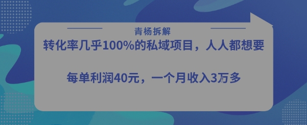 转化率最高的私域项目，每单利润40-50米，月入过1w-最全资源库