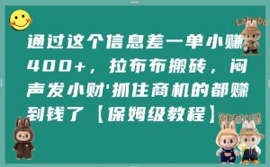 通过这个信息差一单小挣4张+，拉布布搬砖，闷声发小财抓住商机的都挣到钱了【保姆级教程】-最全资源库