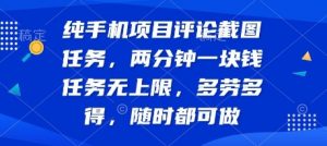 纯手机项目评论截图任务,两分钟一块钱 任务无上限多劳多得,随时随地都能做【揭秘】-最全资源库