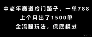 中老年赛道冷门路子,一单788,上个月出了1500单,全流程玩法,保底模式【揭秘】-最全资源库