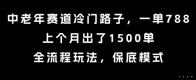 中老年赛道冷门路子，一单788，上个月出了1500单，全流程玩法，保底模式【揭秘】-最全资源库
