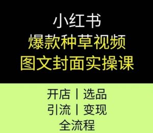 小红书爆款种草视频图文封面实操课,开店、选品、引流、变现全流程-最全资源库