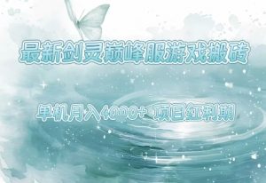 最新剑灵巅峰服游戏搬砖,项目红利期,单机稳定月入4k+操作简单好上手【揭秘】-最全资源库