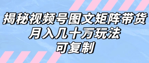 解密视频号图文矩阵带货，月入几个W的打法，可复制-最全资源库