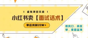 小红书虚拟项目掘金，卖面试话术资料，单店纯利20W+(附爆款笔记制作方法)-最全资源库
