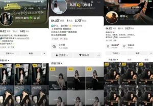 抖音图文文案赛道新玩法，快速养号起号，广告收益分成+橱窗带货+教学收徒等-最全资源库