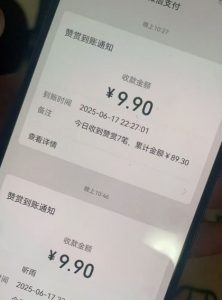 二次元男粉快速变现项目,私域卖虚拟产品,百分利润-最全资源库