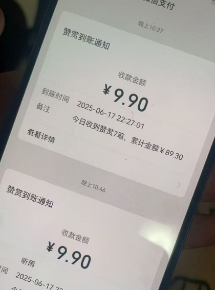 二次元男粉快速变现项目,私域卖虚拟产品,百分利润-最全资源库