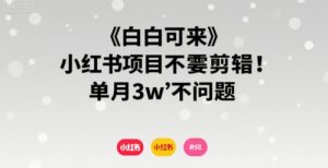小白可来 小红书项目不需要剪辑 单月3w不是问题-最全资源库