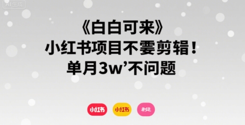 小白可来 小红书项目不需要剪辑 单月3w不是问题-最全资源库