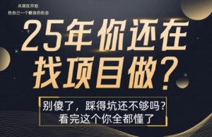 25年，你还在疯狂的找项目吗？别傻了，看完这个你都懂了【揭秘】-最全资源库