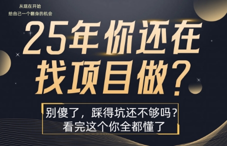 25年，你还在疯狂的找项目吗？别傻了，看完这个你都懂了【揭秘】-最全资源库
