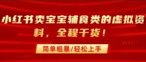 小红书卖宝宝辅食类的虚拟资料，从引流到私域变现，全程干货，简单粗暴，轻松上手-最全资源库