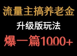 流量主之养老金升级版玩法 爆一篇收益1k+-最全资源库