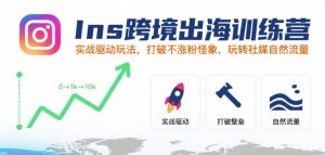Ins跨境出海训练营，实战驱动玩法，打破不涨粉怪象，玩转社媒自然流量-最全资源库