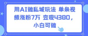 用AI做私域玩法,单条视频涨粉7W变现4.3k,小白可做-最全资源库