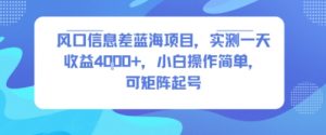 风口信息差蓝海项目，实测一天收益4k+，小白操作简单，可矩阵起号-最全资源库