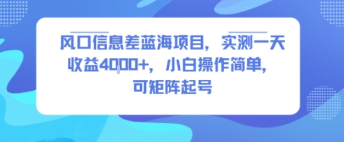 风口信息差蓝海项目，实测一天收益4k+，小白操作简单，可矩阵起号-最全资源库