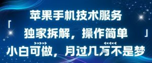 苹果手机技术服务，独家拆解，操作简单，小白可做，月过1W不是梦-最全资源库