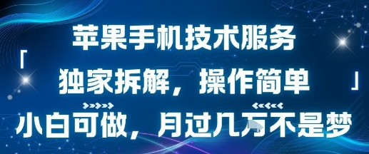 苹果手机技术服务，独家拆解，操作简单，小白可做，月过1W不是梦-最全资源库