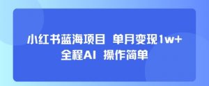 小红书蓝海项目 单月变现1w+ 全程AI 操作简单-最全资源库