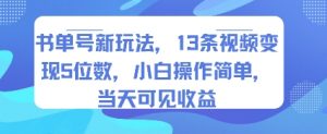 书单号新玩法，13条视频变现5位数，小白操作简单，当天可见收益-最全资源库
