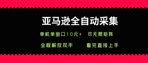 亚马逊全自动采集,单机单窗口一天10+,可无限矩阵去做【揭秘】-最全资源库
