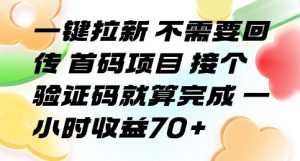 一键拉新 不需要回传 首码项目 接个验证码就算完成 一小时收益70+【揭秘】-最全资源库