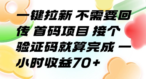 一键拉新 不需要回传 首码项目 接个验证码就算完成 一小时收益70+【揭秘】-最全资源库