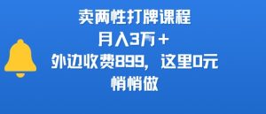 卖两性打牌课程，月入3W+外边收费899的课程，这里0元，悄悄做-最全资源库