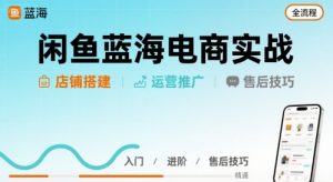 闲鱼蓝海电商实战，店铺搭建运营售后全流程-最全资源库