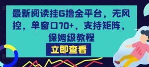 最新阅读挂G撸金平台，无风控，单窗口70+，支持矩阵，保姆级教程【揭秘】-最全资源库